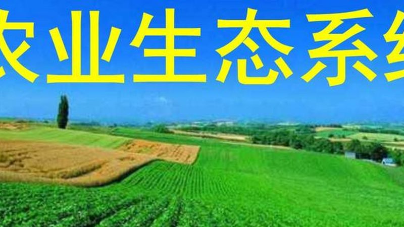 农产品批发包材定制加盟费用主要包括以下几个方面：