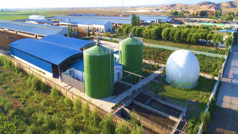 生鲜配送中心建设：关键环节与流程解析**