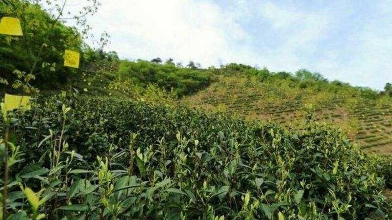 合作社注册，这些材料不能少**