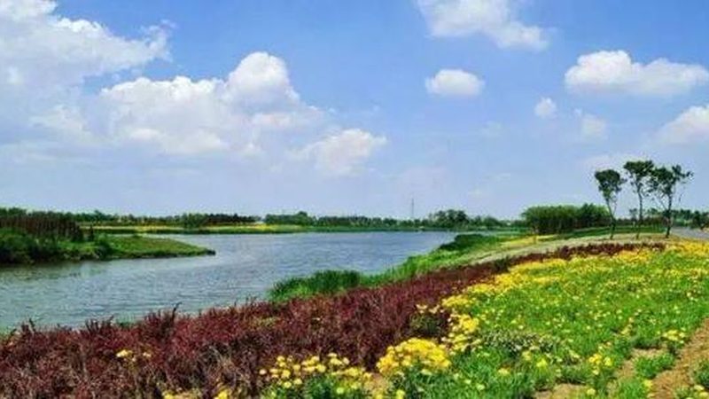 农资批发，如何避免踩坑？流程及注意事项全解析**