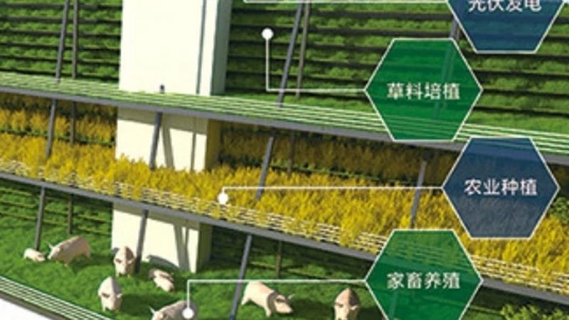 无人机喷药，种植大户病虫害防治新选择