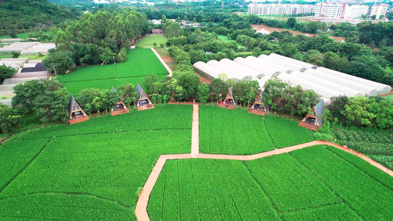 农业物联网解决方案：助力现代农业的多领域应用