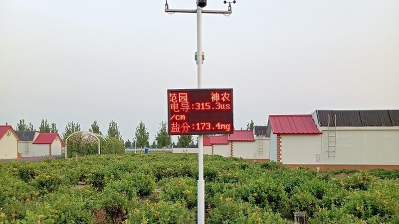 广东农产品代加工：揭秘代加工背后的秘密与优势