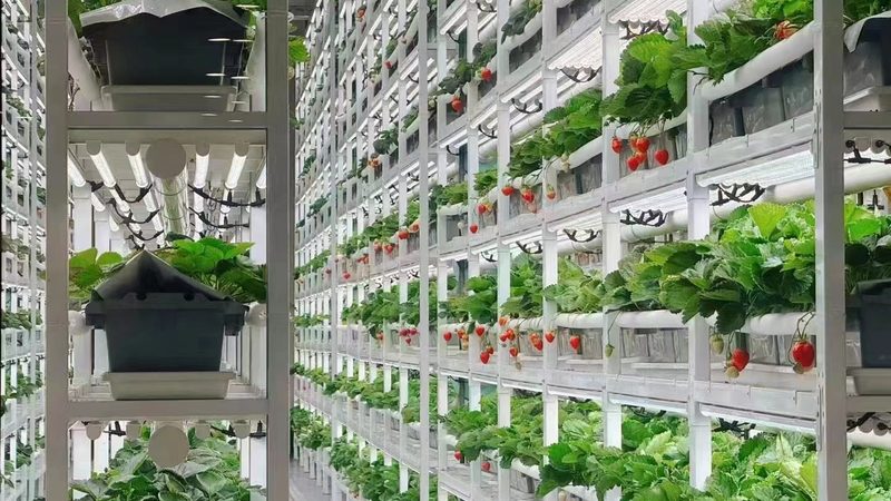 在山东众多水果种植基地中，以下几家生产厂家具有较高的知名度和良好口碑：