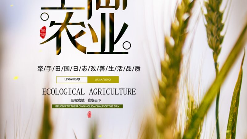 上海周边生态农业采摘基地：如何选择高品质的绿色乐园**
